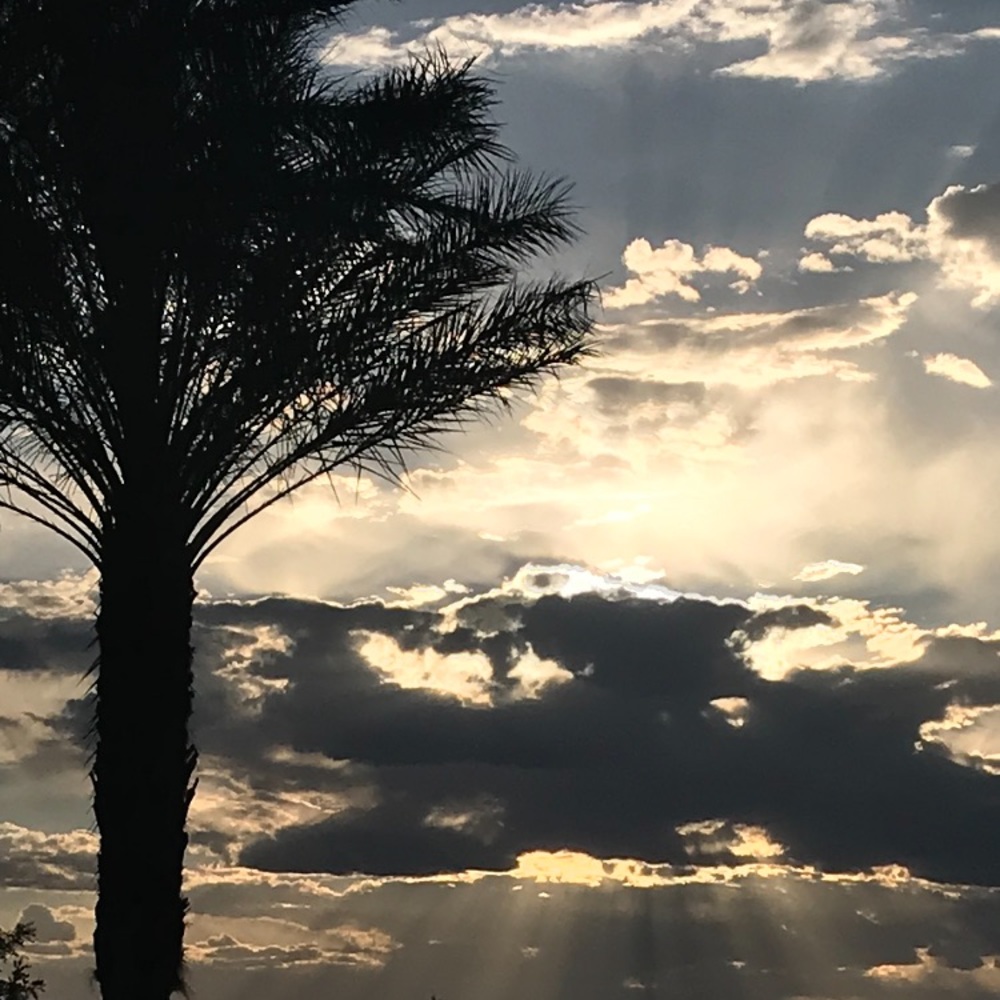 Meet your Posher, Patricia